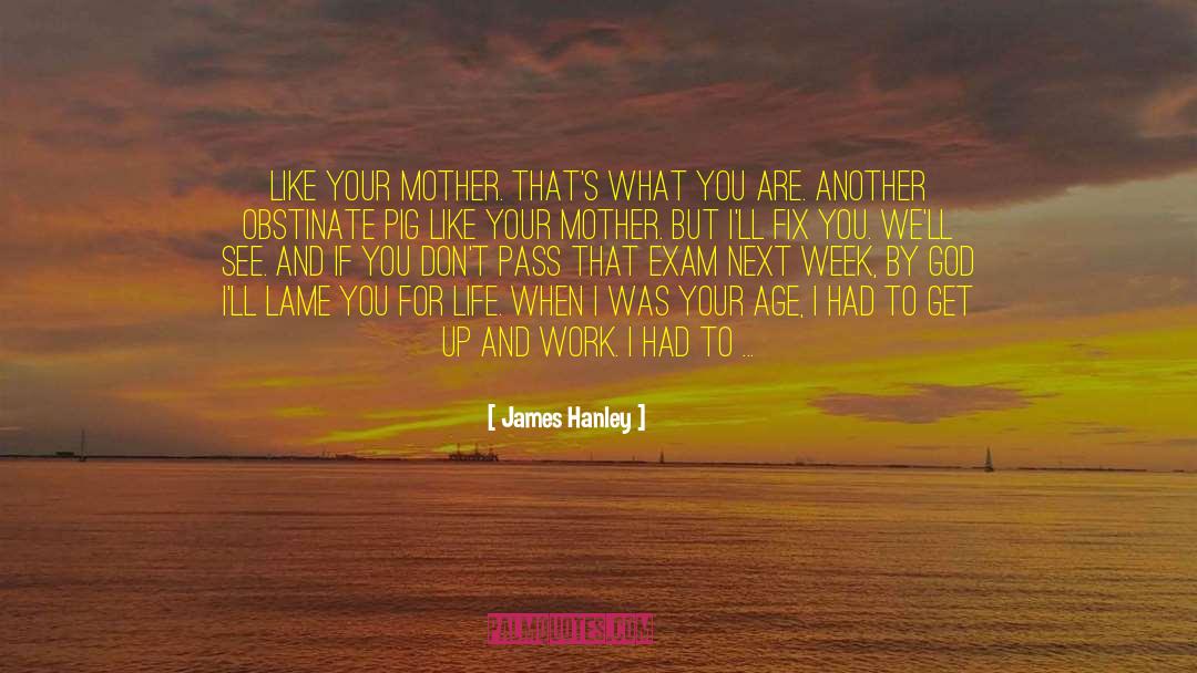 Hard Tack quotes by James Hanley