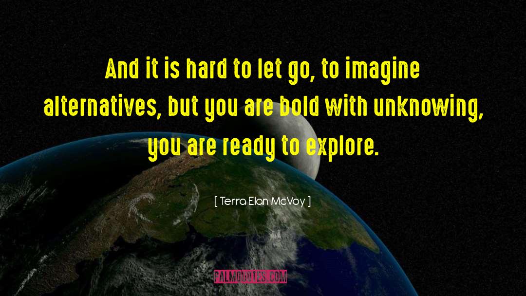 Hard To Let Go quotes by Terra Elan McVoy