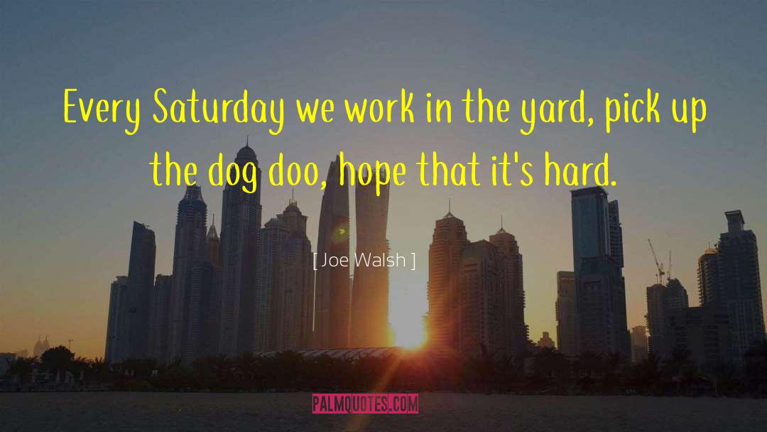 Hard Work Honesty quotes by Joe Walsh