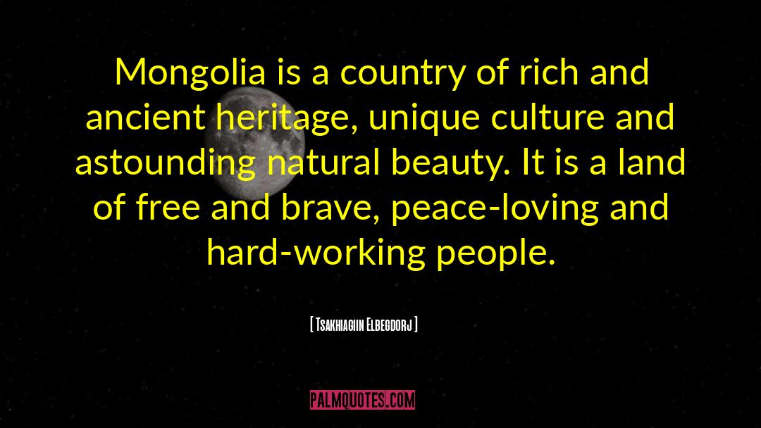 Hard Working Individuals quotes by Tsakhiagiin Elbegdorj