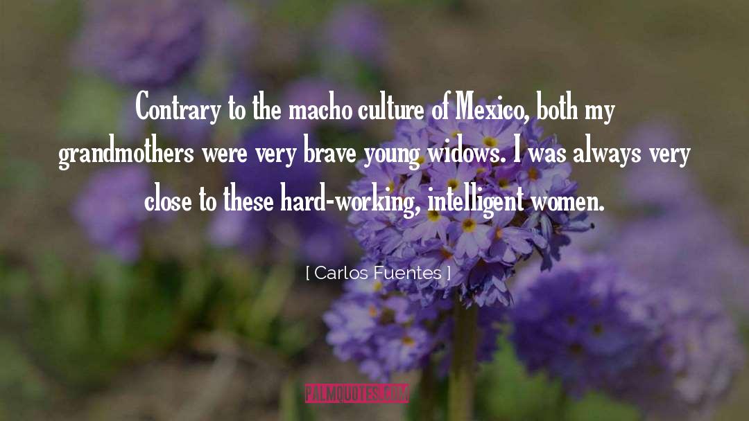 Hard Working quotes by Carlos Fuentes