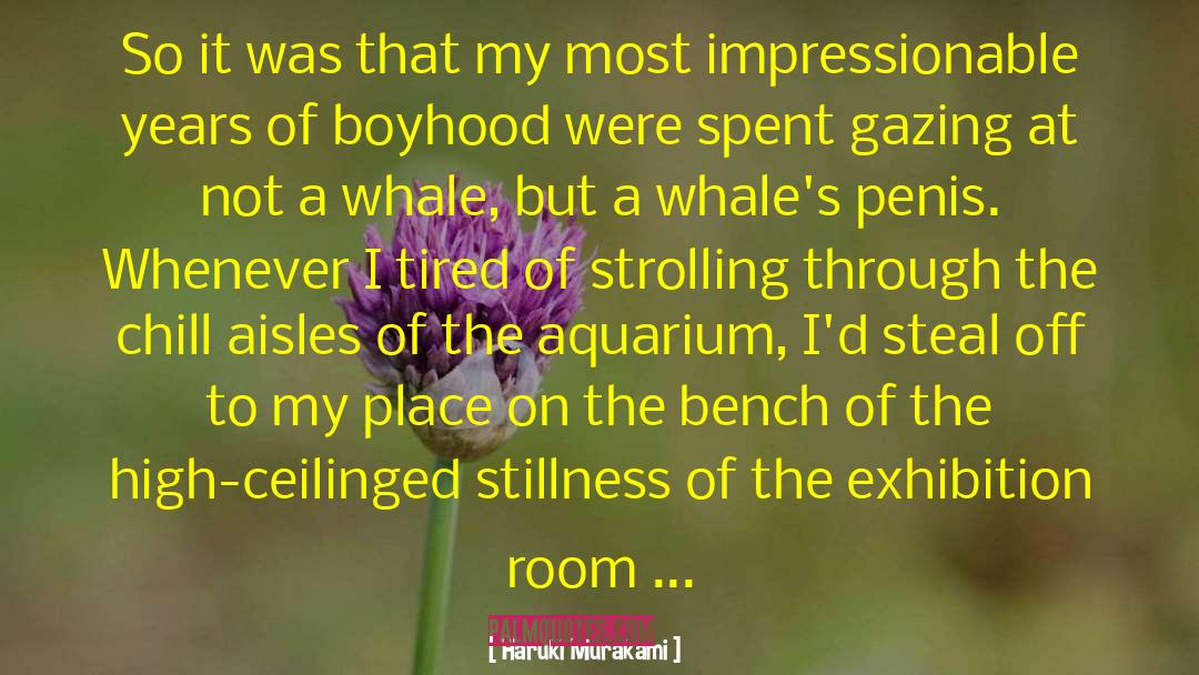 Hardiest Aquarium quotes by Haruki Murakami