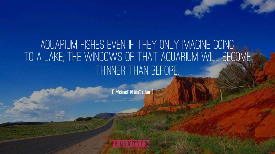 Hardiest Aquarium quotes by Mehmet Murat Ildan