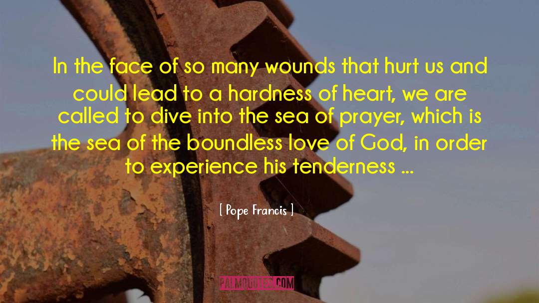 Hardness Of Heart quotes by Pope Francis