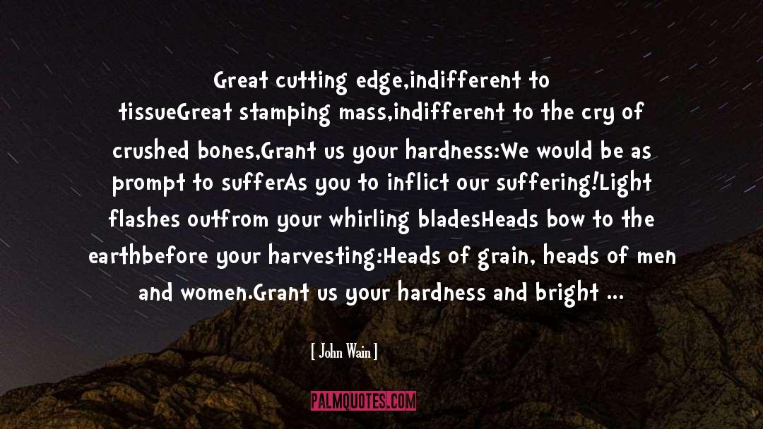 Hardness quotes by John Wain