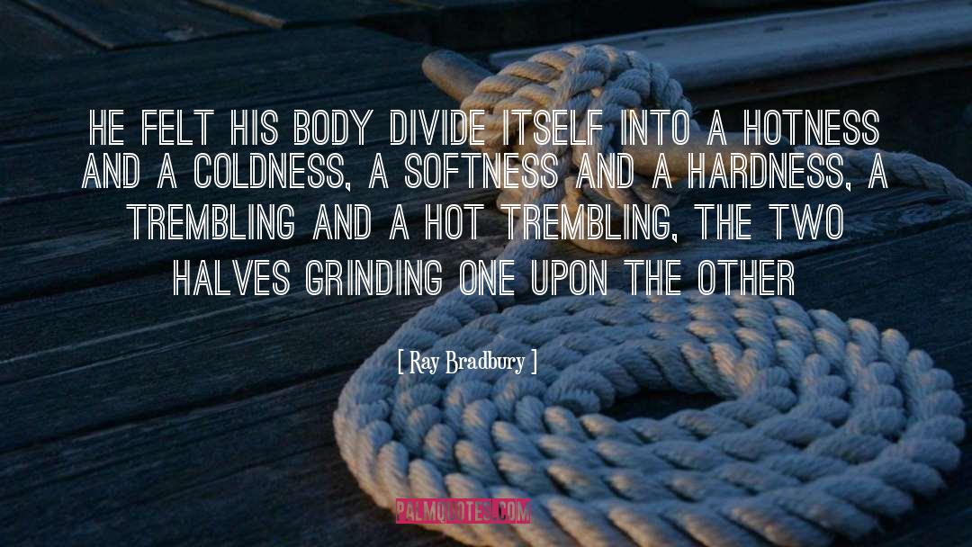 Hardness quotes by Ray Bradbury