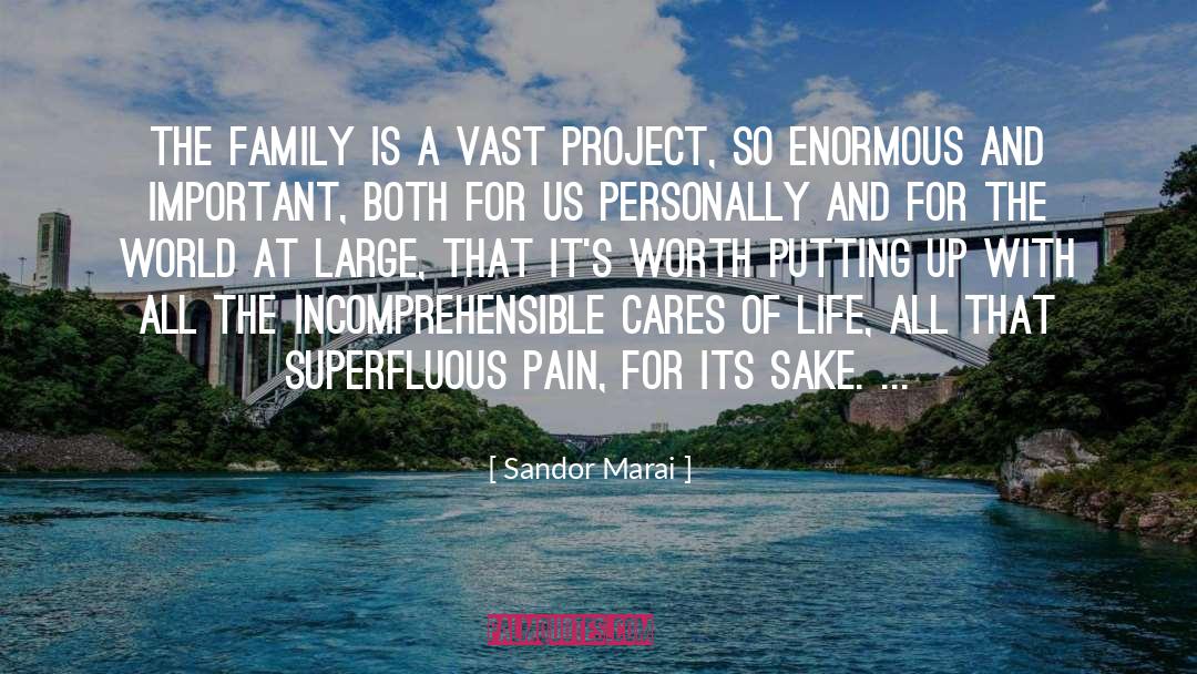 Hardship And Family quotes by Sandor Marai
