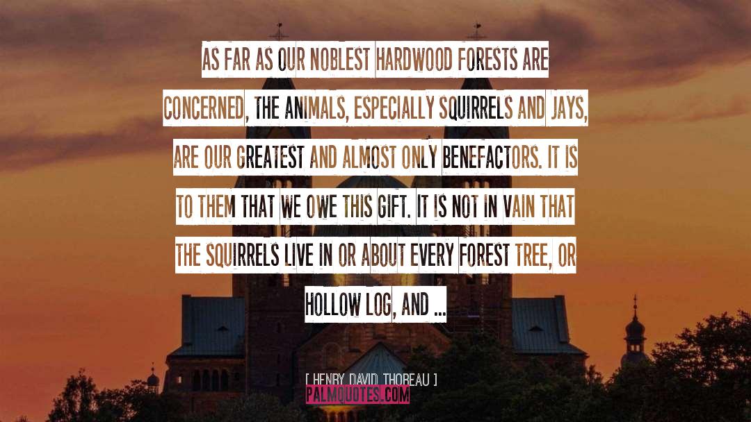 Hardwood quotes by Henry David Thoreau