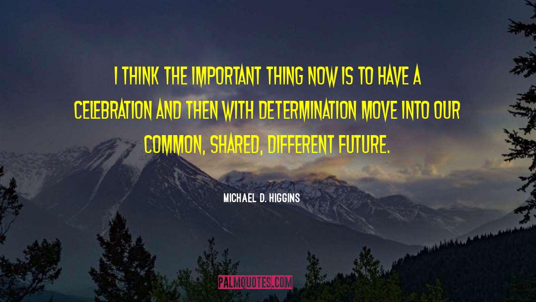 Hardwork And Determination quotes by Michael D. Higgins