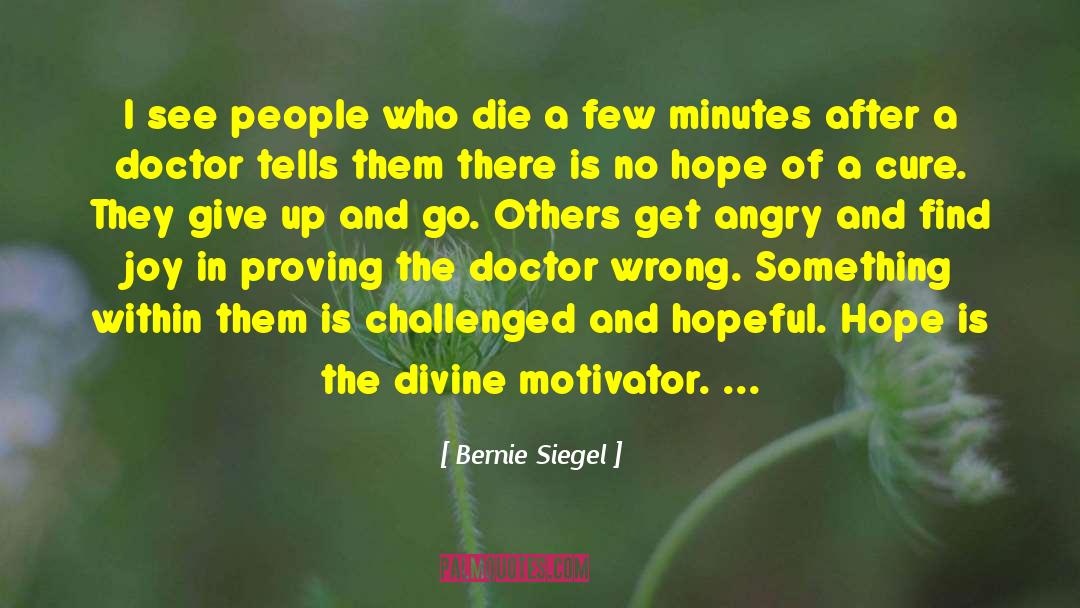 Hardworking People quotes by Bernie Siegel