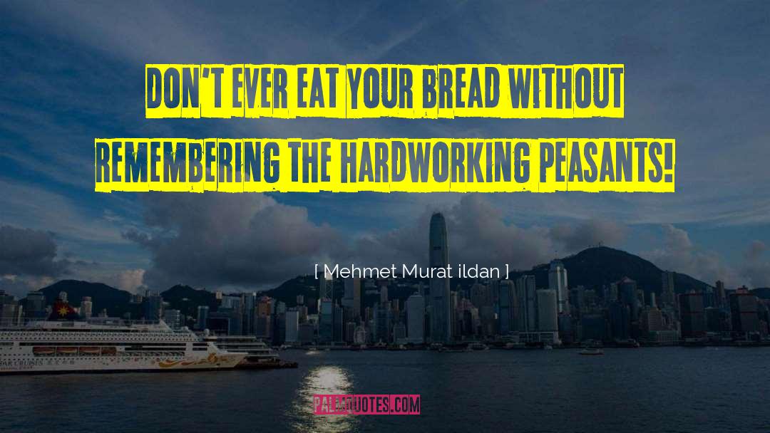 Hardworking quotes by Mehmet Murat Ildan