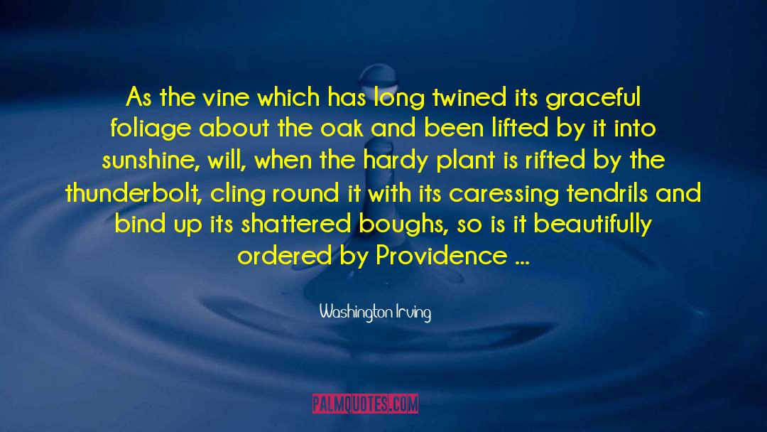 Hardy S quotes by Washington Irving