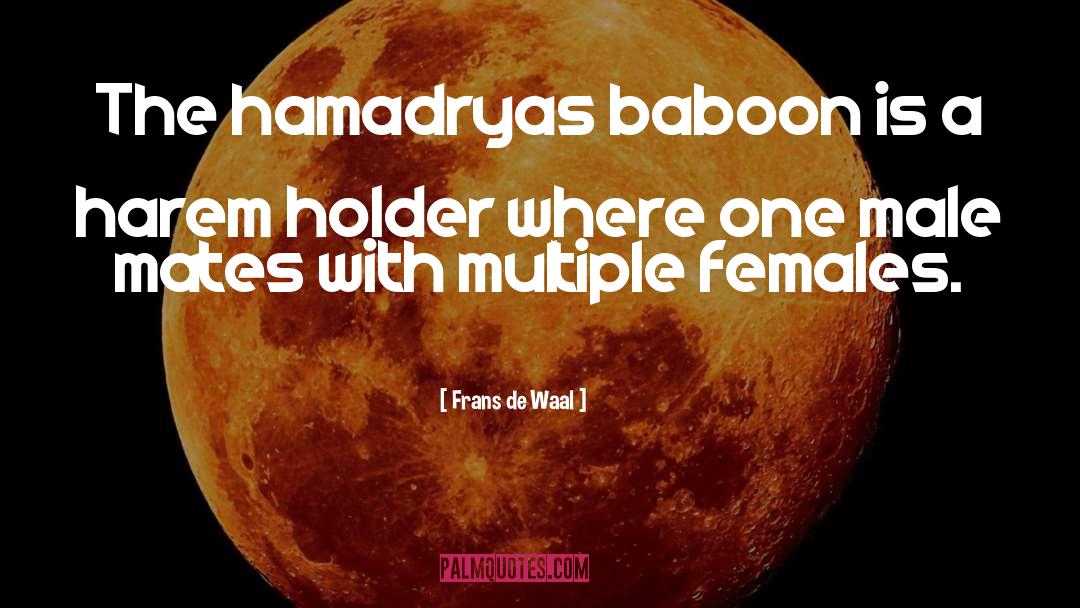 Harem quotes by Frans De Waal