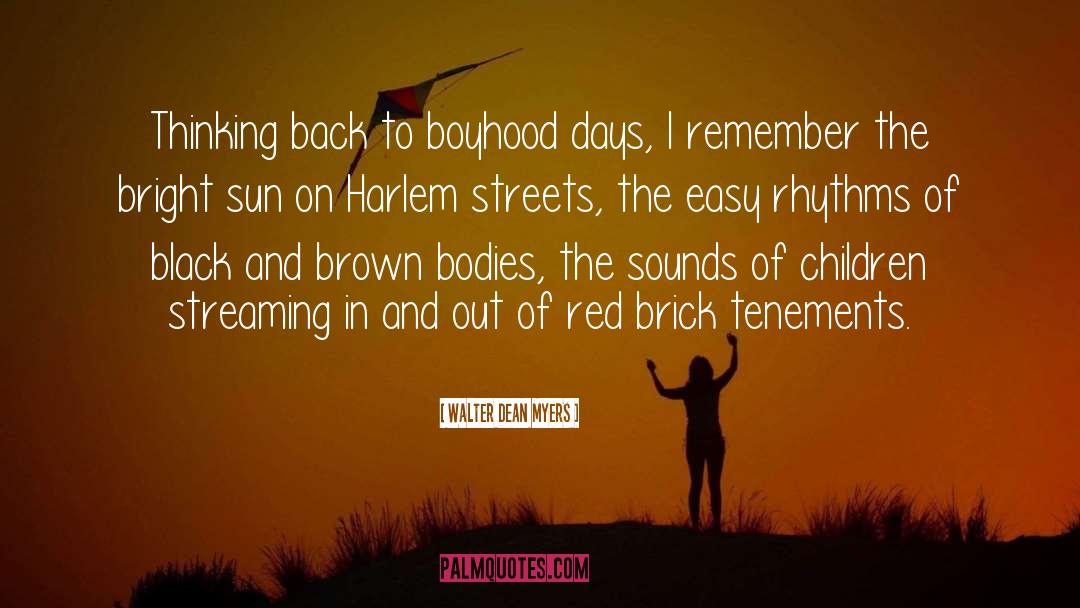 Harlem quotes by Walter Dean Myers