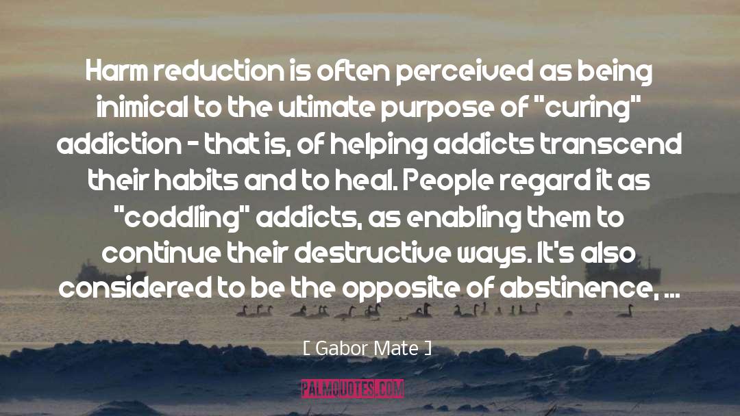 Harm Reduction quotes by Gabor Mate