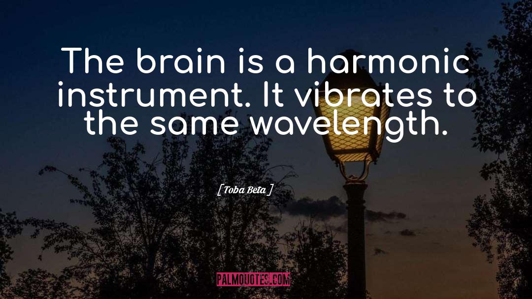 Harmonic quotes by Toba Beta