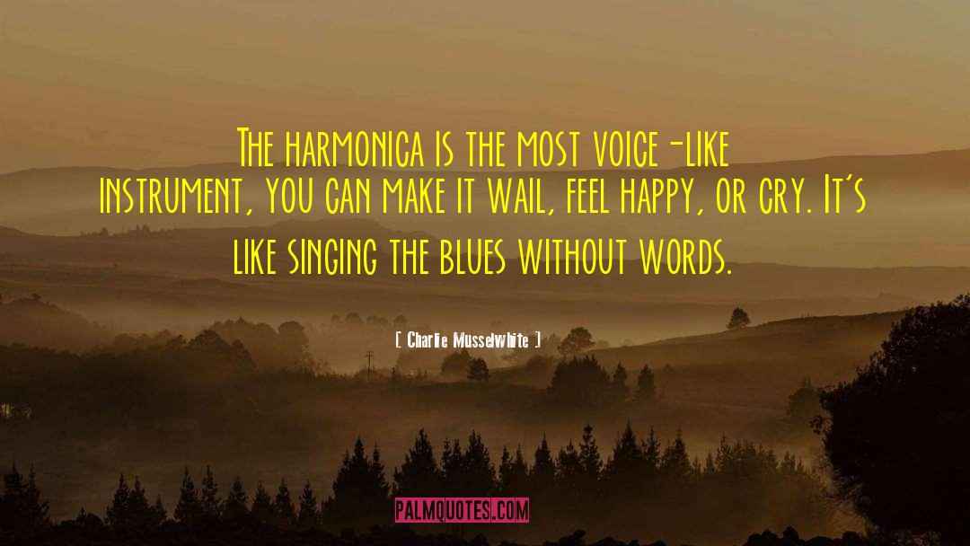 Harmonica quotes by Charlie Musselwhite