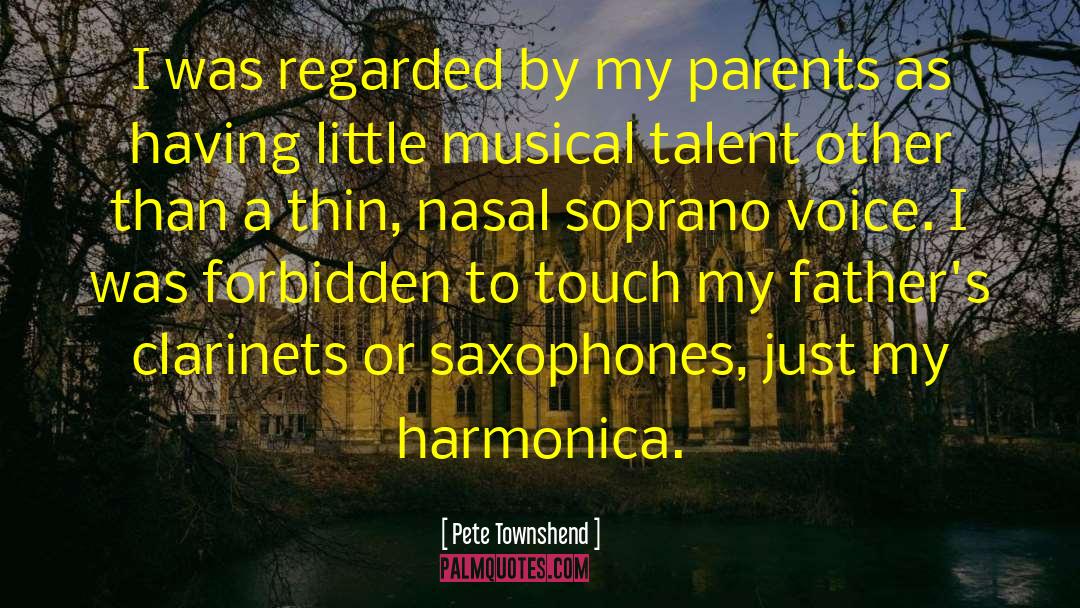 Harmonica quotes by Pete Townshend