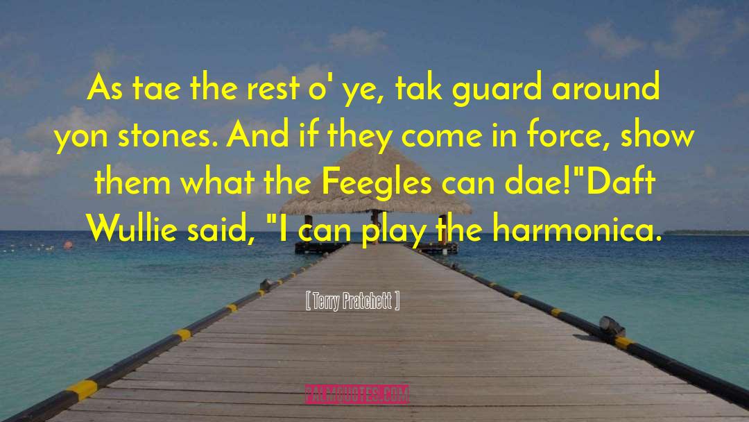 Harmonica quotes by Terry Pratchett