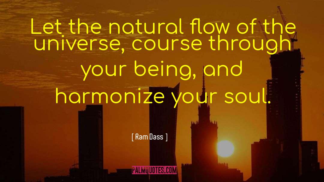 Harmonize quotes by Ram Dass