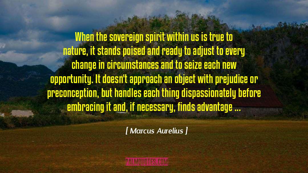 Harmonize With Nature quotes by Marcus Aurelius