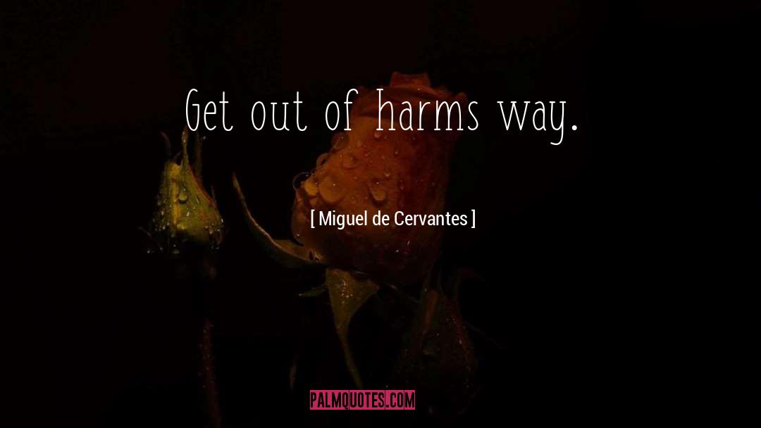 Harms quotes by Miguel De Cervantes
