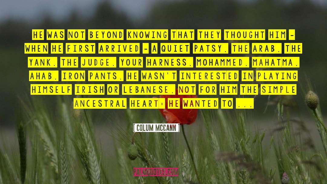 Harness quotes by Colum McCann