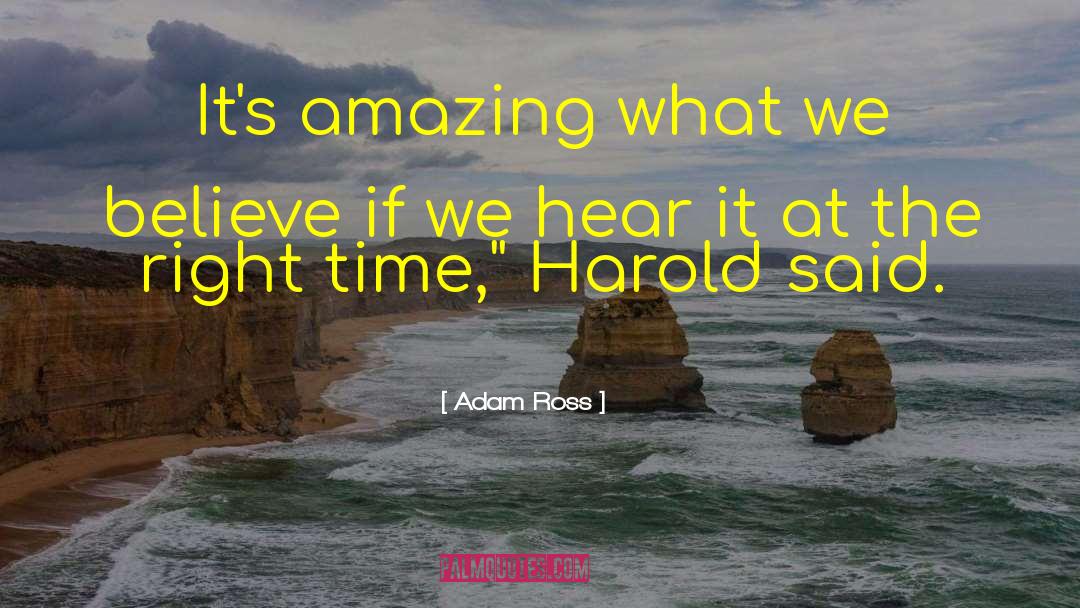 Harold L Ickes quotes by Adam Ross