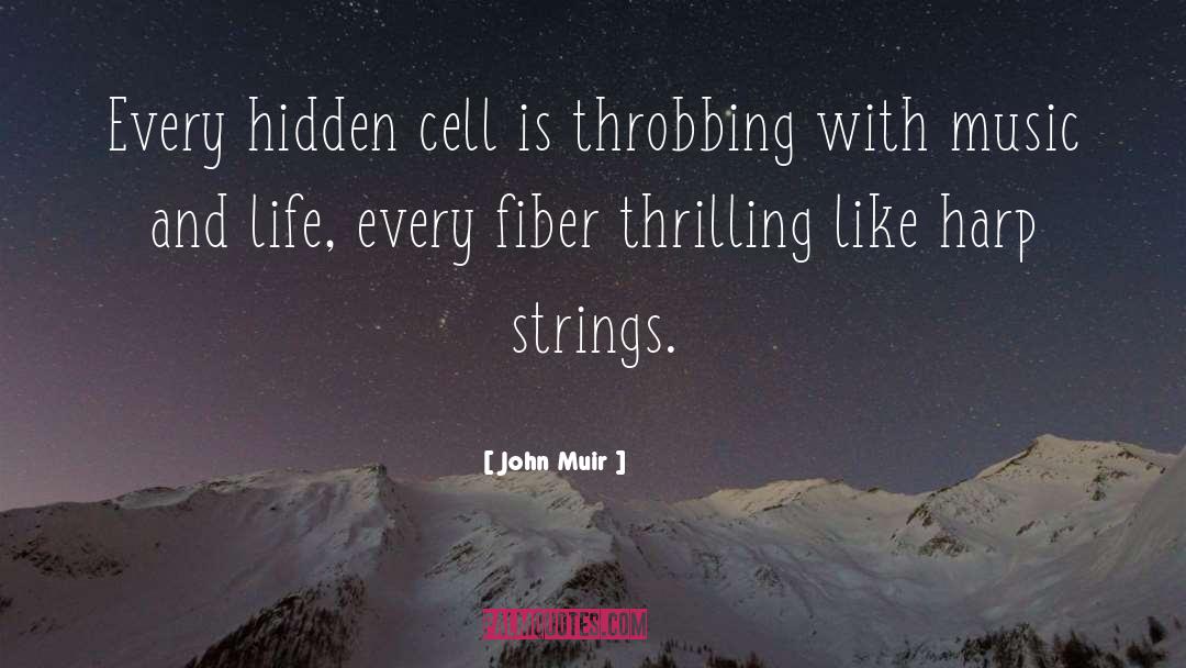 Harp quotes by John Muir