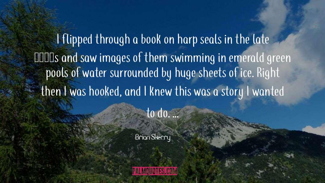 Harp quotes by Brian Skerry