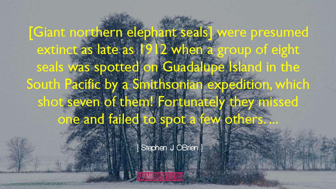 Harp Seals quotes by Stephen J. O'Brien