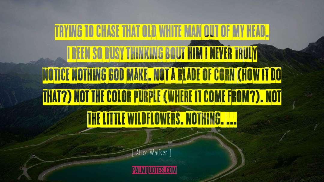 Harpo The Color Purple quotes by Alice Walker