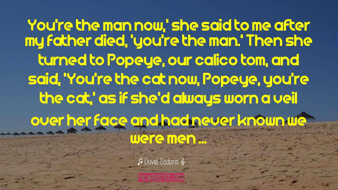 Harpys Popeye quotes by David Sedaris