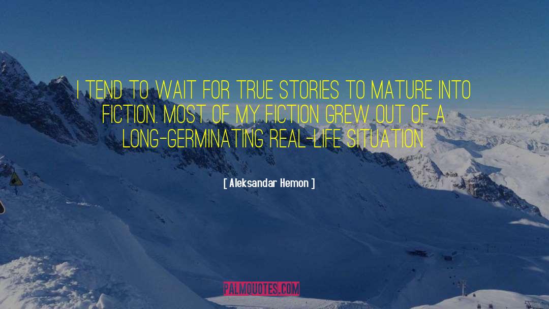 Harried Life quotes by Aleksandar Hemon