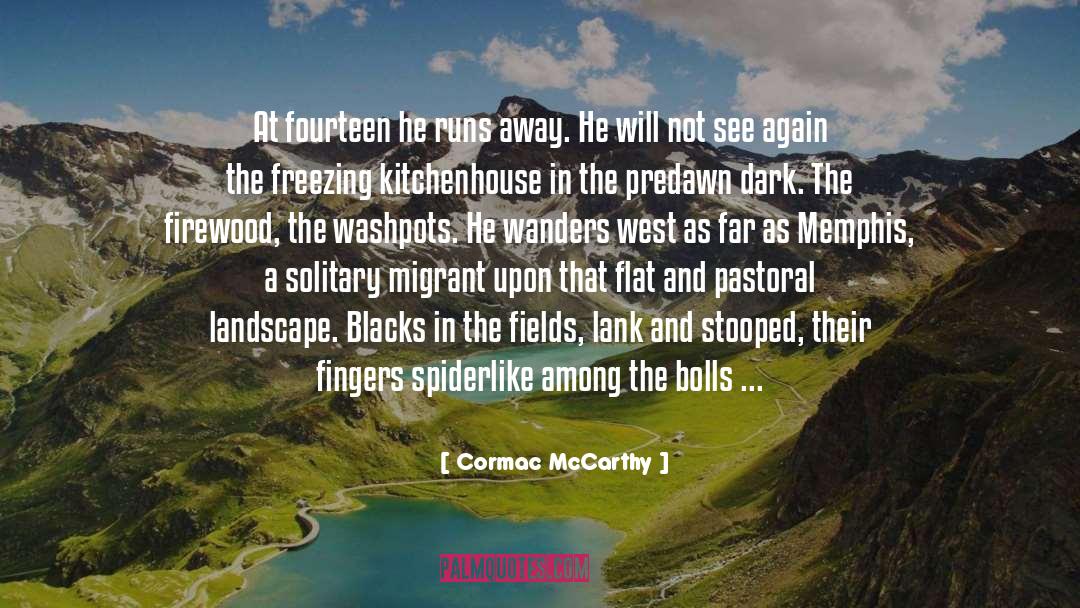 Harrow quotes by Cormac McCarthy