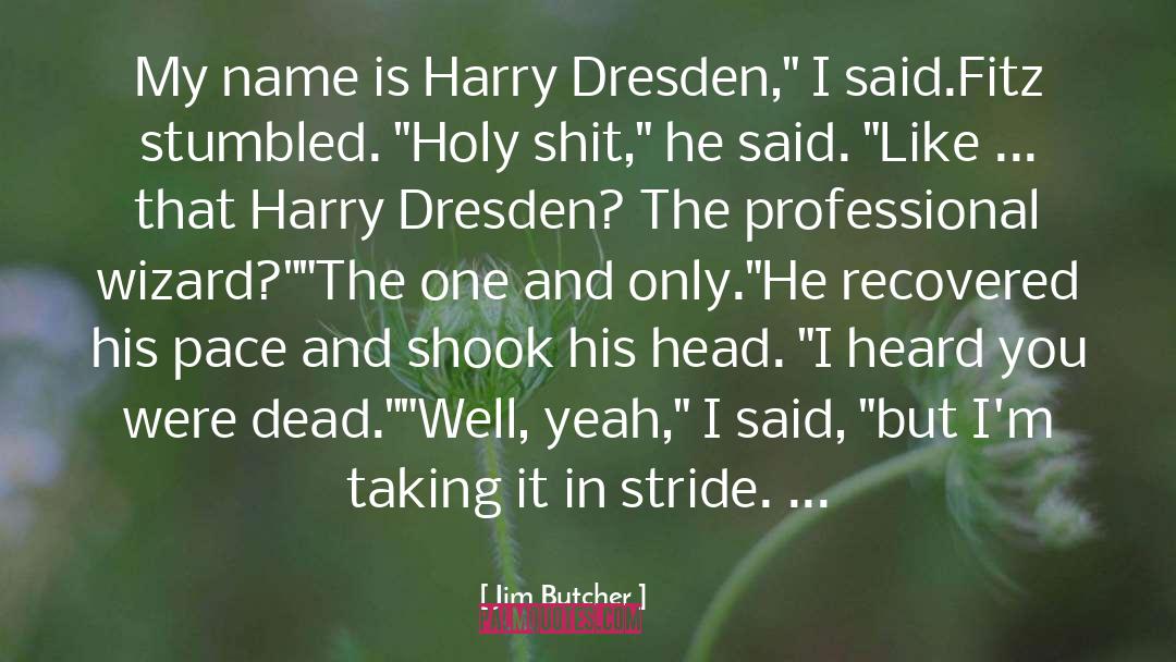 Harry Dresden quotes by Jim Butcher