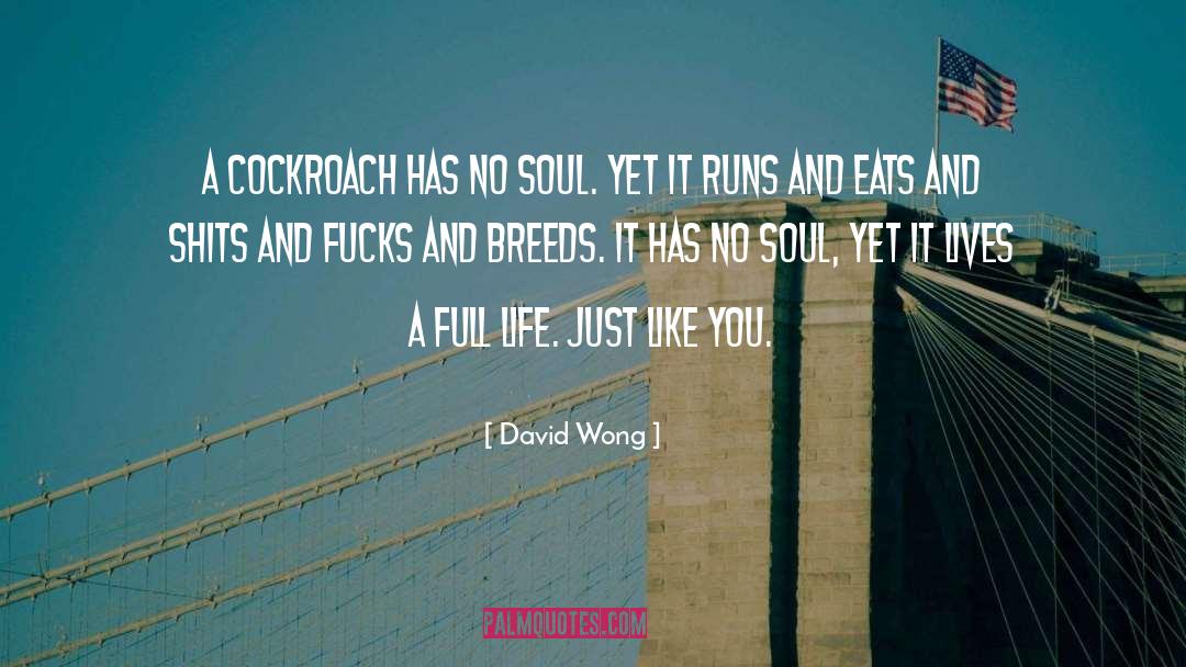 Harry Hole Cockroach quotes by David Wong