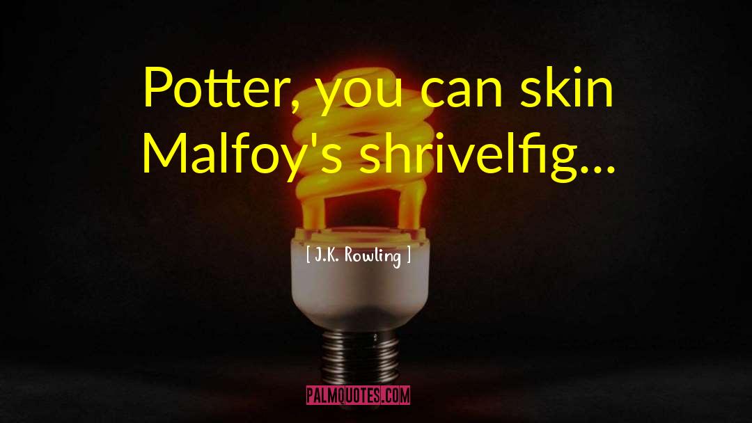 Harry Potter Inspiring quotes by J.K. Rowling