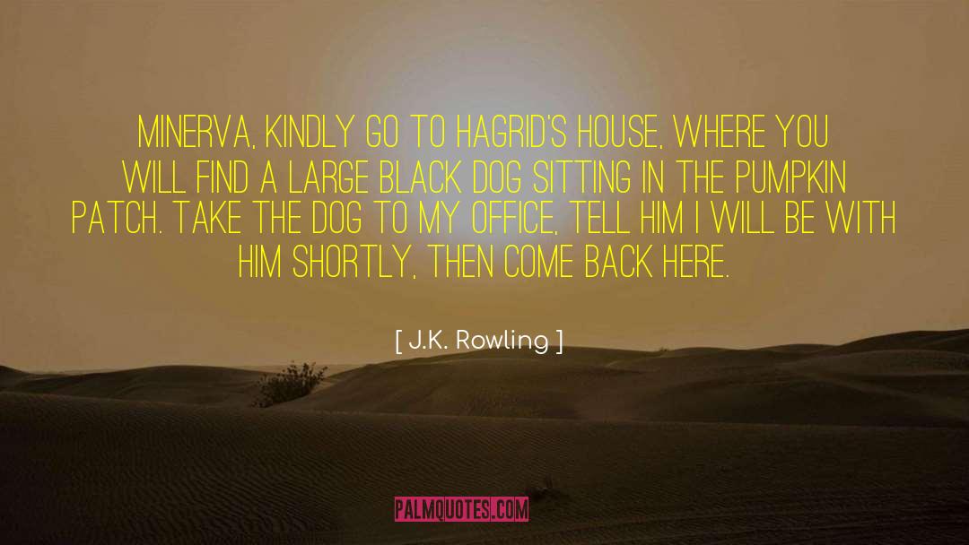 Harry Potter Movie quotes by J.K. Rowling