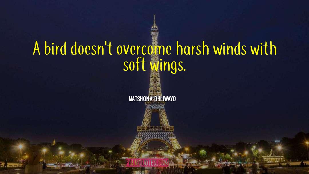Harsh Conditions quotes by Matshona Dhliwayo