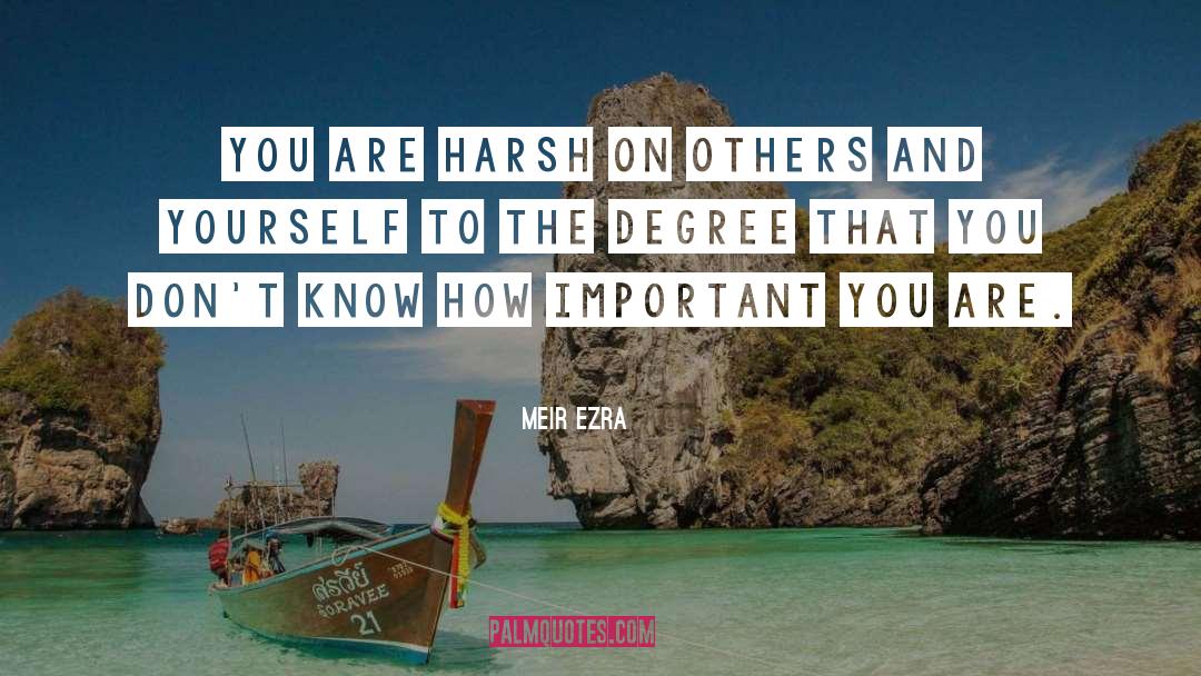 Harsh On Yourself quotes by Meir Ezra