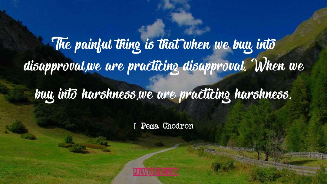 Harshness quotes by Pema Chodron