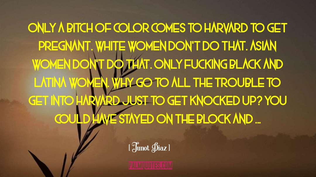 Harvard quotes by Junot Diaz