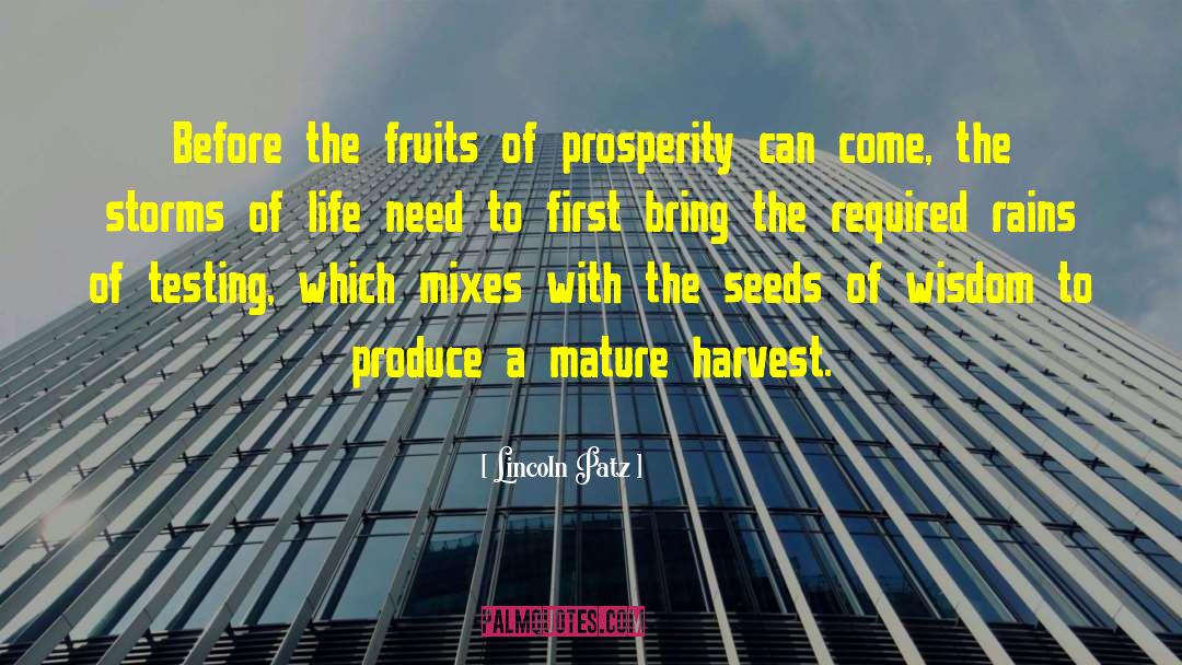 Harvest quotes by Lincoln Patz