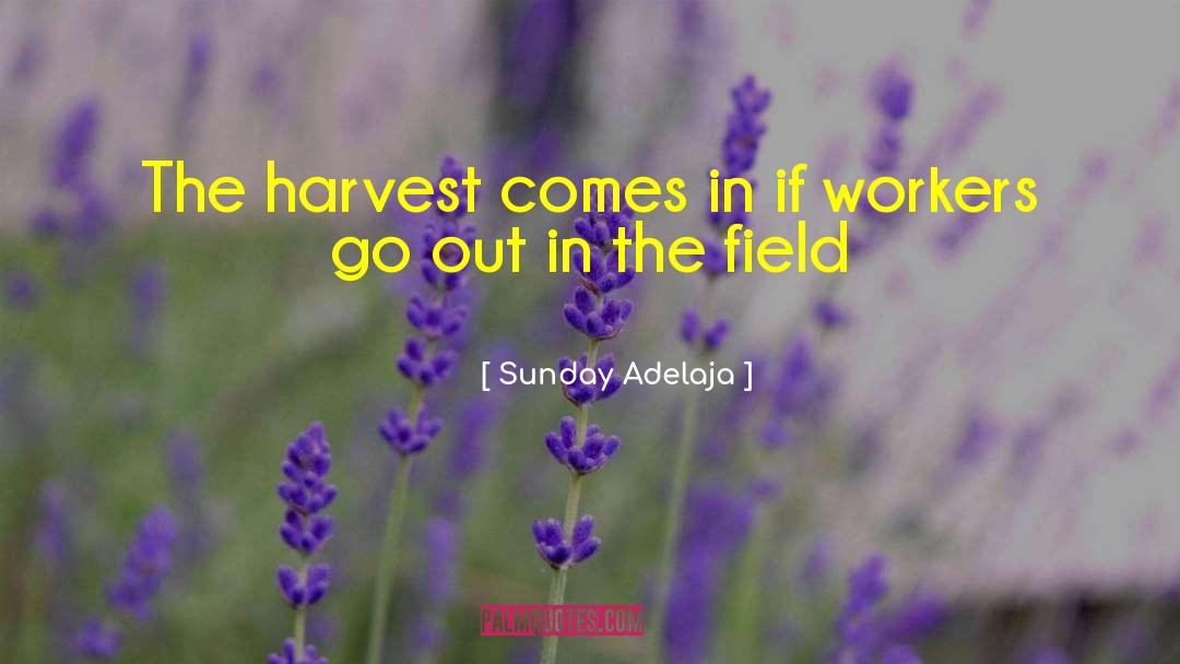Harvest quotes by Sunday Adelaja
