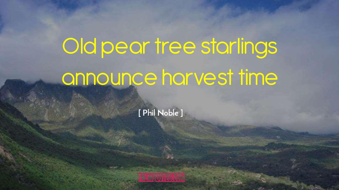 Harvest Time quotes by Phil Noble