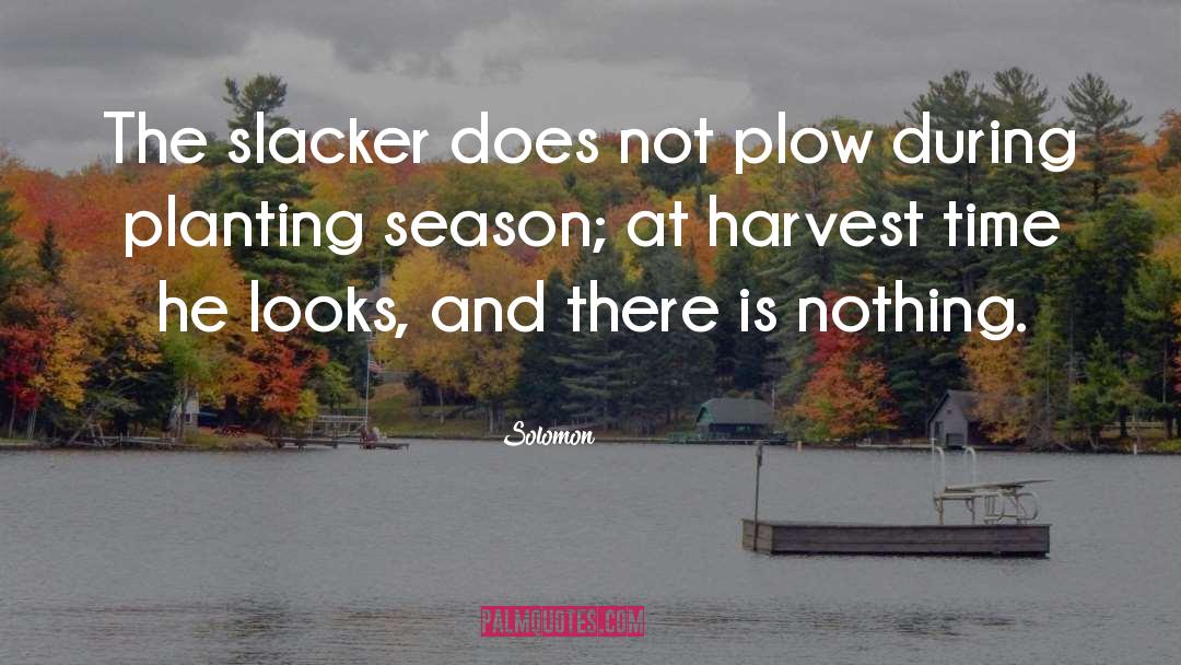Harvest Time quotes by Solomon