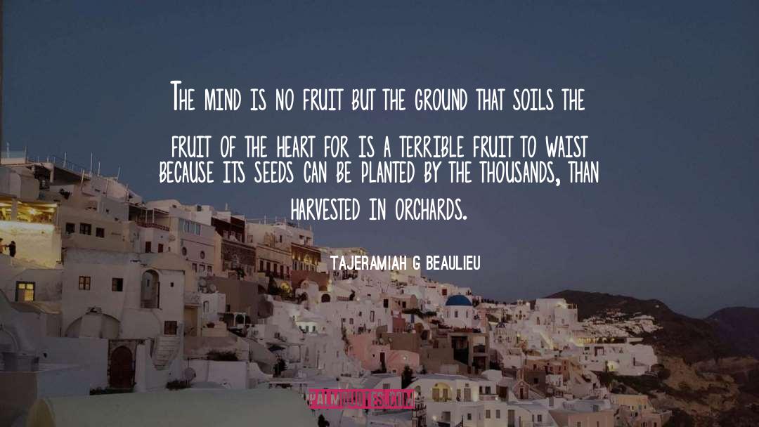 Harvested quotes by Tajeramiah G Beaulieu