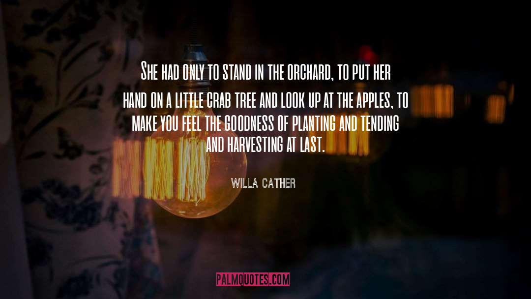 Harvesting quotes by Willa Cather