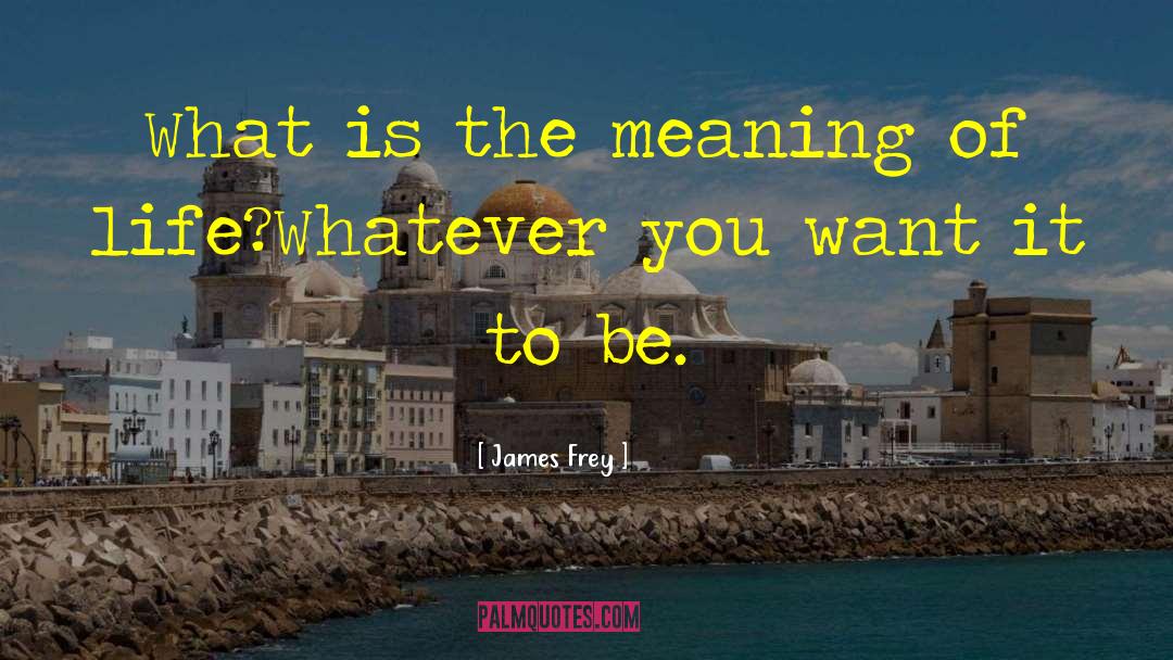 Has Meaning To It quotes by James Frey